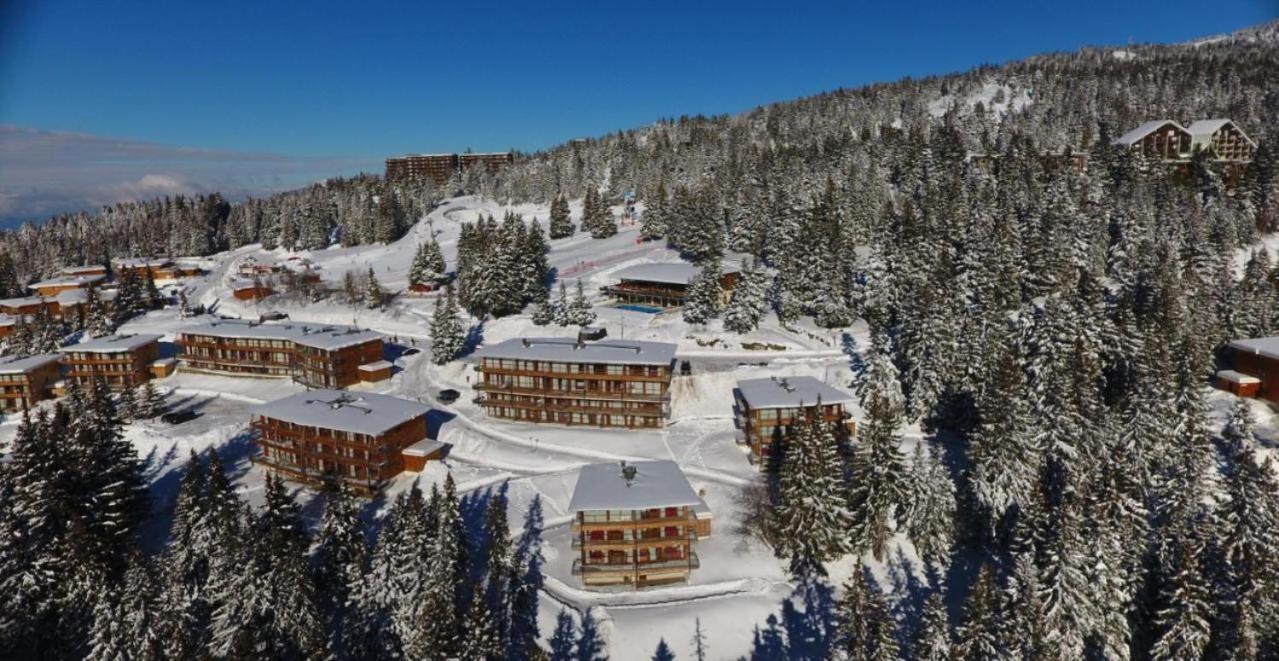 Le Cocon 4 Saisons A Chamrousse 1700 - Droseras A14 - Les Villages Du Bachat Extérieur photo